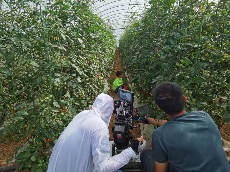 太仓市产品宣传视频拍摄公司进阶指南，助力品牌抢占传播高地